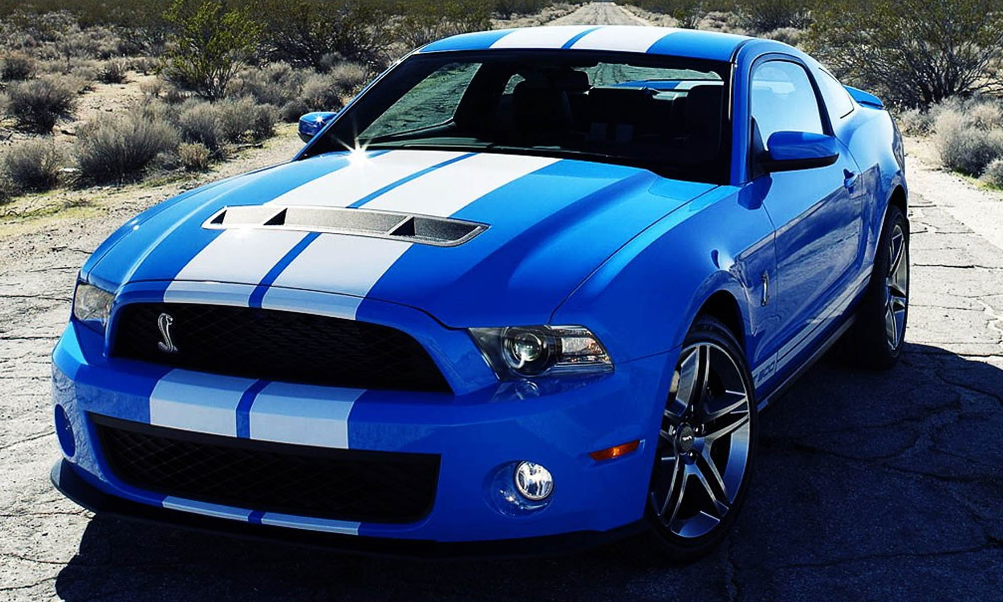cobra body parts fenders grill mustang body kit